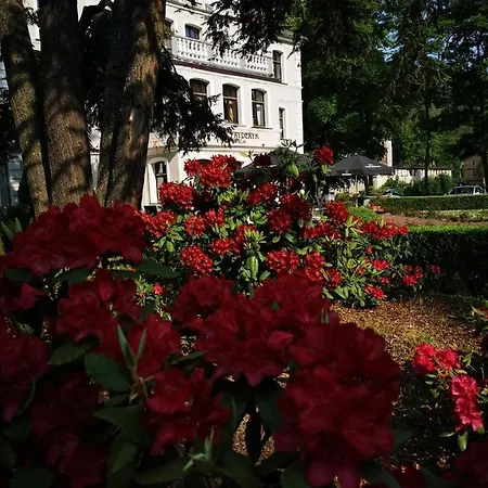 Hotel Fryderyk 3*